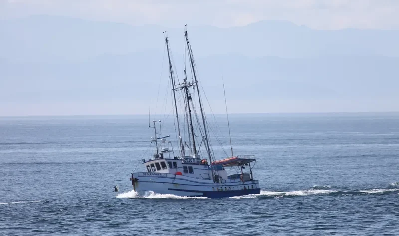SEA RANGER General Cargo IMO 7817402
