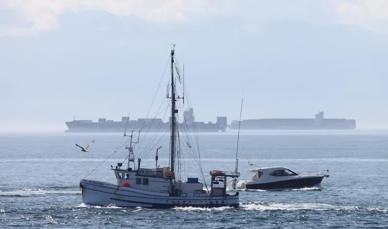 SEA RANGER General Cargo IMO 7817402 photo 2