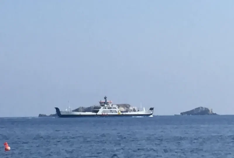 BRIDGE Ro-Ro IMO 7817830 photo 6