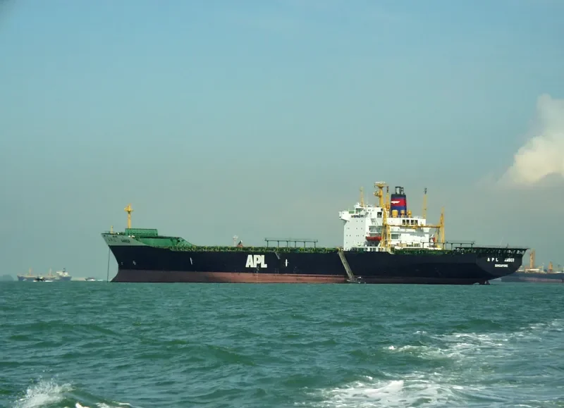 MSC MAGALI Container Ship IMO 7819357 photo 4