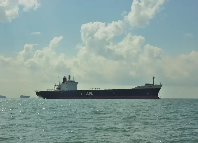 MSC MAGALI Container Ship IMO 7819357 photo 5