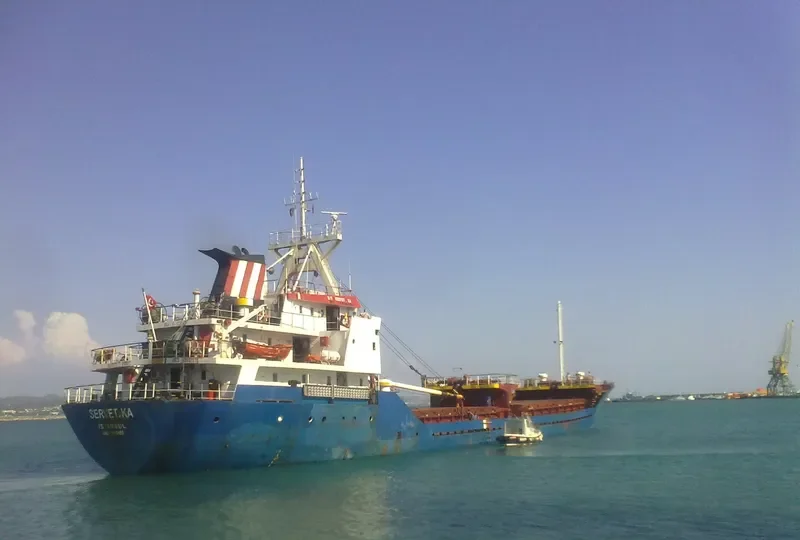 SERVET KA General Cargo IMO 7819450 photo 3