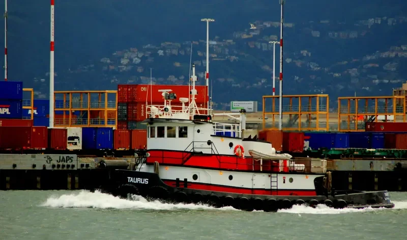 TAURUS General Cargo IMO 7819498 photo 6