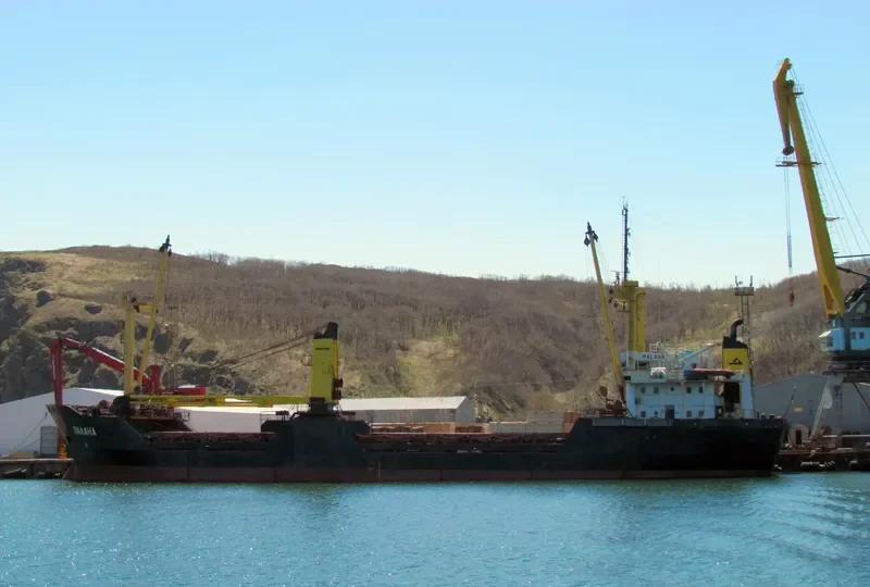 PALANA General Cargo IMO 7819838 photo 3