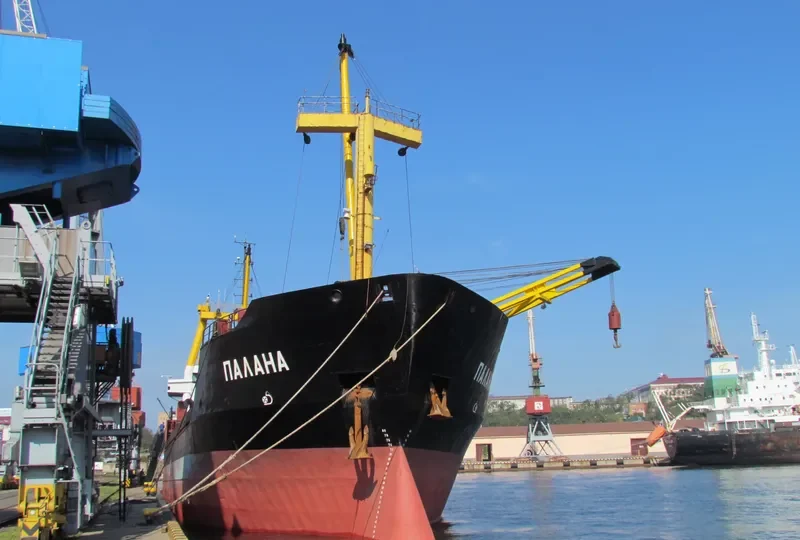 PALANA General Cargo IMO 7819838 photo 4