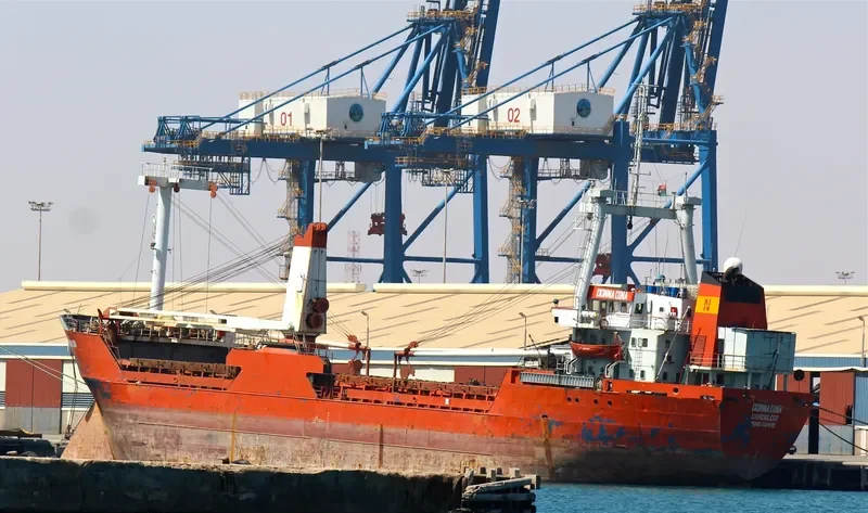 DONNA DINA General Cargo IMO 7819840