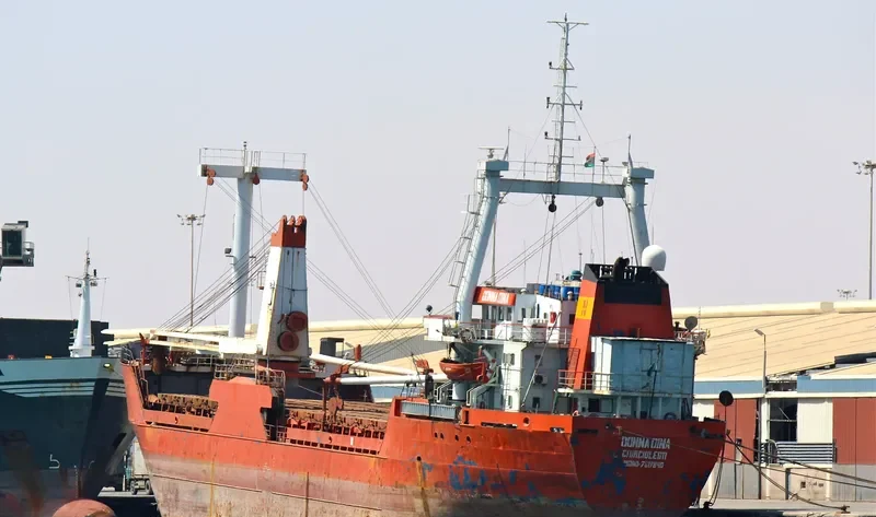 DONNA DINA General Cargo IMO 7819840 photo 3