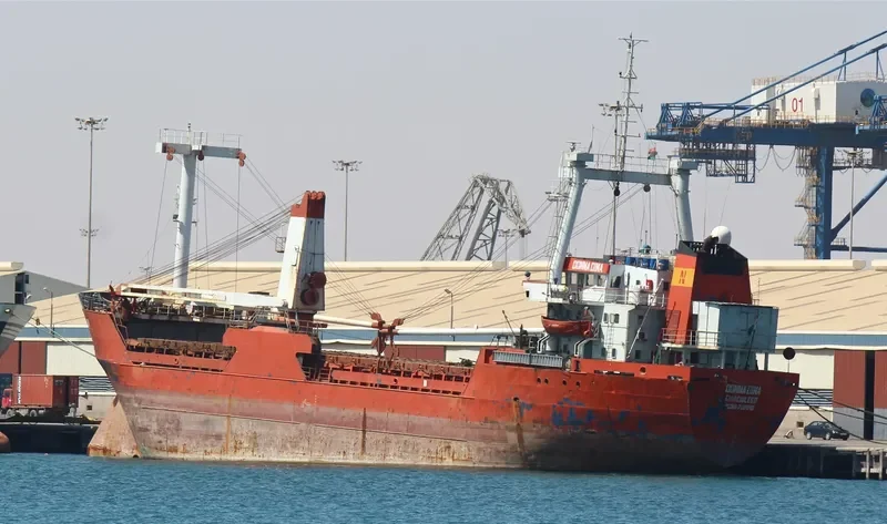 DONNA DINA General Cargo IMO 7819840 photo 4