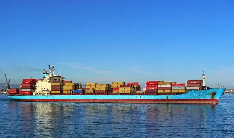 MSC BALI Container Ship IMO 7820930 photo 2