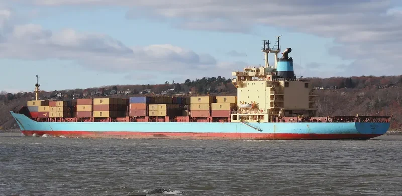MSC BALI Container Ship IMO 7820930 photo 4