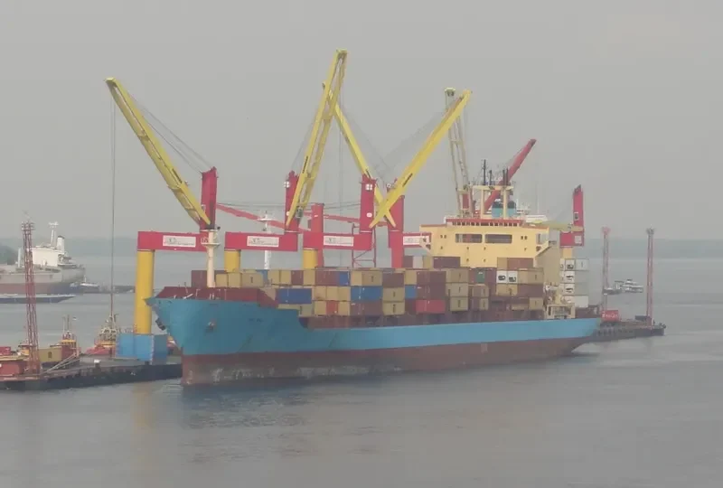 MSC BALI Container Ship IMO 7820930 photo 5