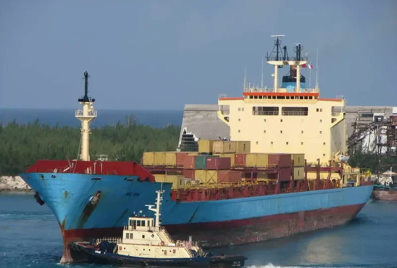 MSC BALI Container Ship IMO 7820930 photo 9