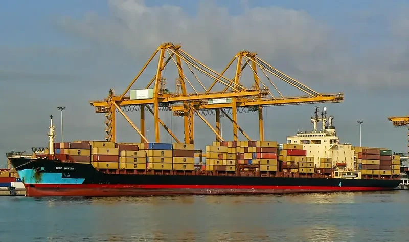NIKI Container Ship IMO 7820942 photo 3