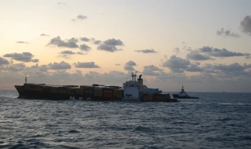 NIKI Container Ship IMO 7820942 photo 5