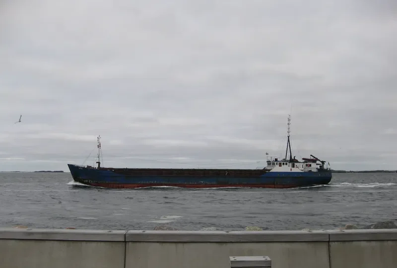 CELICA General Cargo IMO 7821049 photo 3