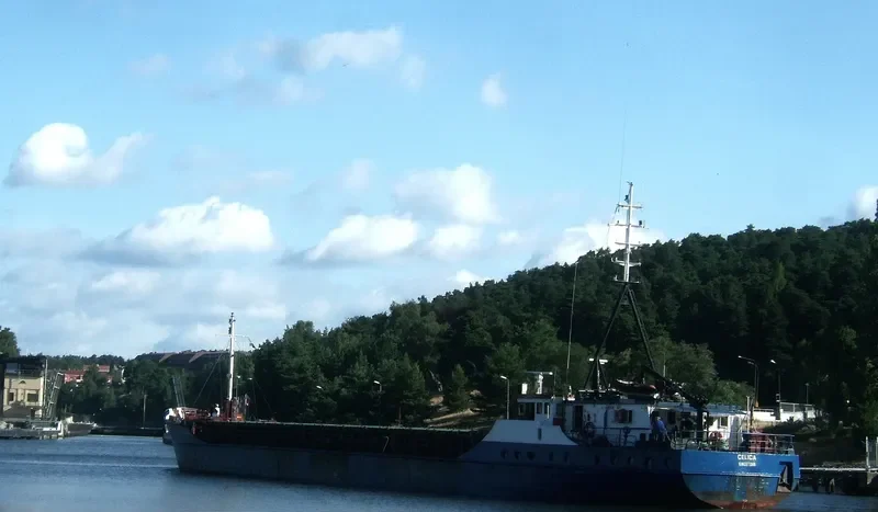 CELICA General Cargo IMO 7821049 photo 8