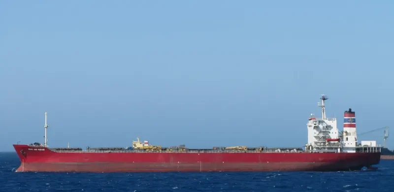 TEXAS ENTERPRISE Bulk Carrier IMO 7821154 photo 6