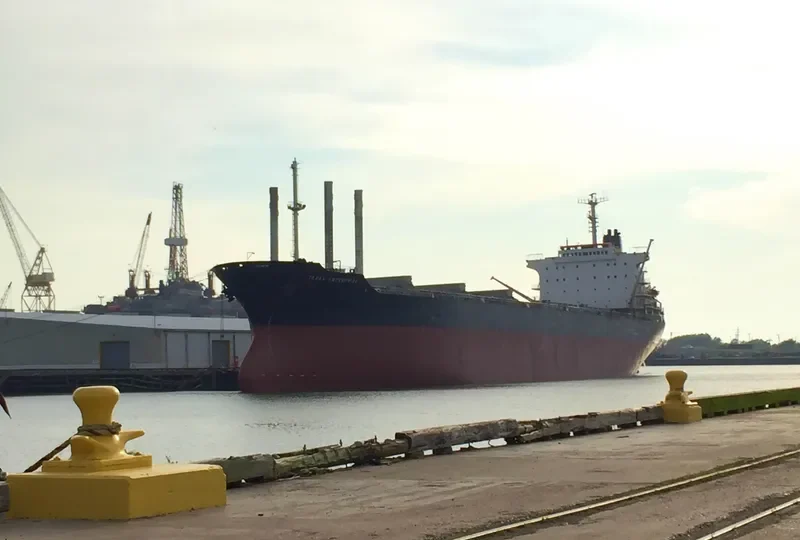 TEXAS ENTERPRISE Bulk Carrier IMO 7821154 photo 10