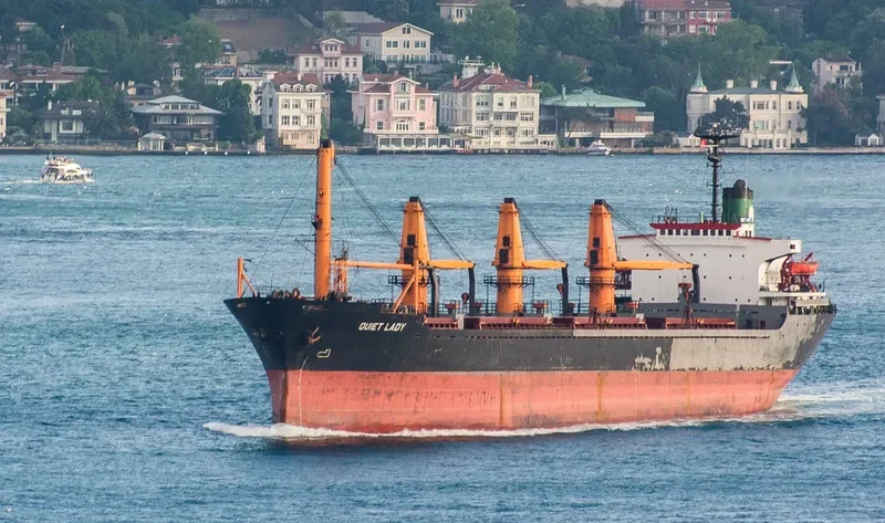 QUIET LADY Bulk Carrier IMO 7821506