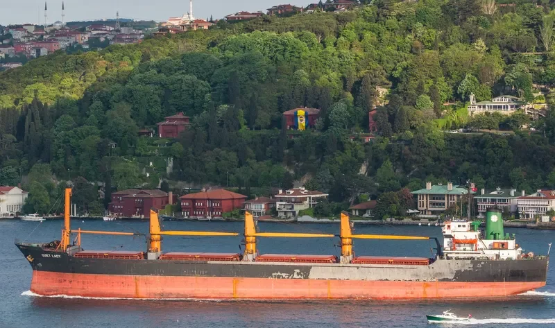 QUIET LADY Bulk Carrier IMO 7821506 photo 2