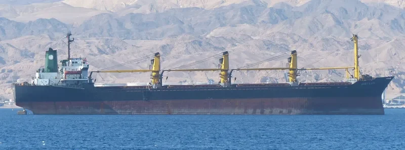 QUIET LADY Bulk Carrier IMO 7821506 photo 5