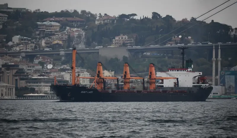 QUIET LADY Bulk Carrier IMO 7821506 photo 10