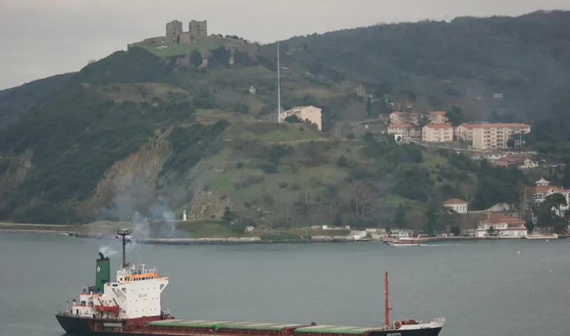 ARADOS Bulk Carrier IMO 7821594