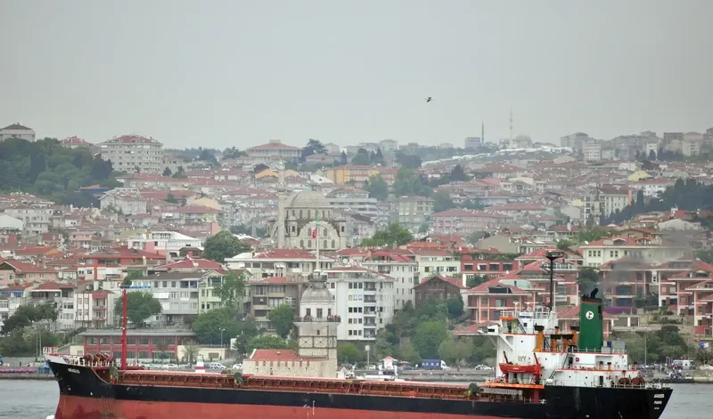 ARADOS Bulk Carrier IMO 7821594 photo 2