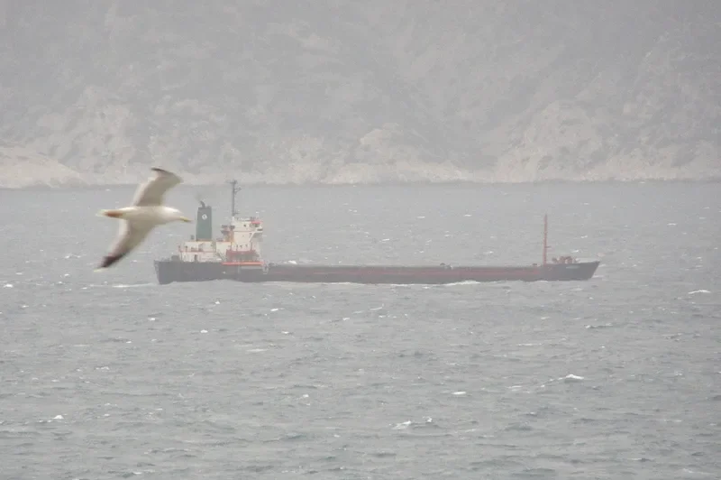 ARADOS Bulk Carrier IMO 7821594 photo 4