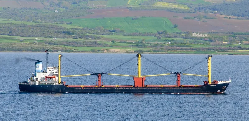 ABBOUD G Bulk Carrier IMO 7821635 photo 3