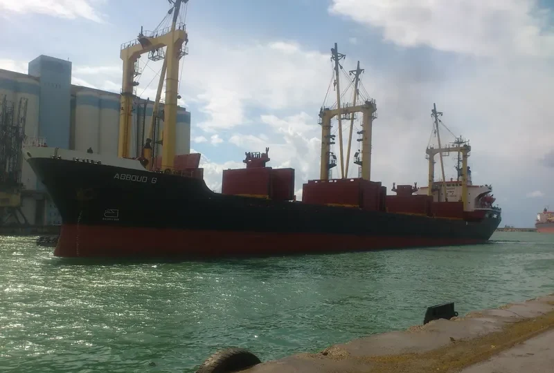 ABBOUD G Bulk Carrier IMO 7821635 photo 8