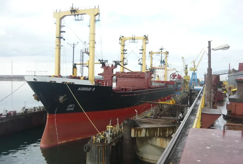 ABBOUD G Bulk Carrier IMO 7821635 photo 10