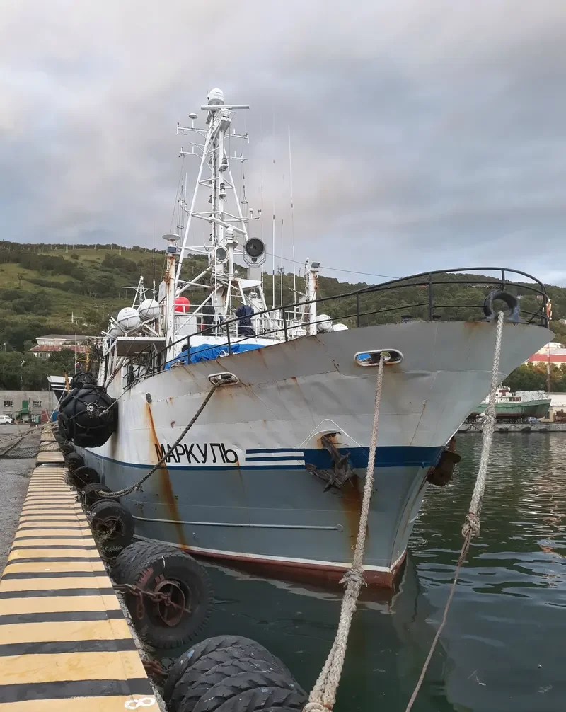 MARKUL General Cargo IMO 7821960 photo 7
