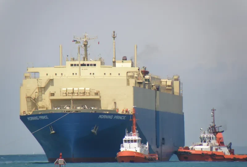 MORNING PRINCE General Cargo IMO 7822134 photo 2