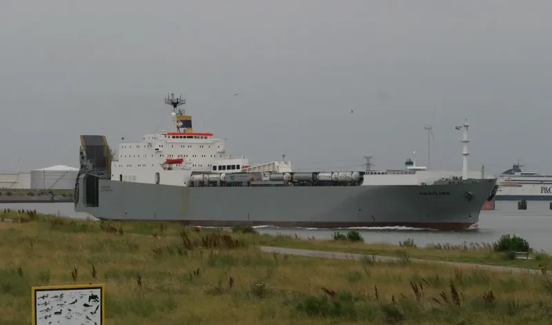 QUILL Ro-Ro IMO 7822196 photo 7