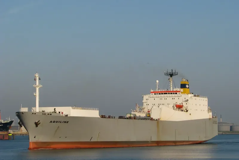 QUILL Ro-Ro IMO 7822196 photo 9