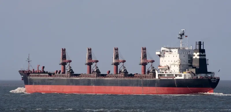 ARABIAN VENTURE Bulk Carrier IMO 7822378 photo 5