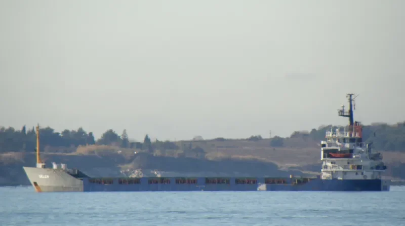 SELEN General Cargo IMO 7822536 photo 3