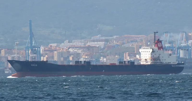 ROCIO Container Ship IMO 7822770 photo 2