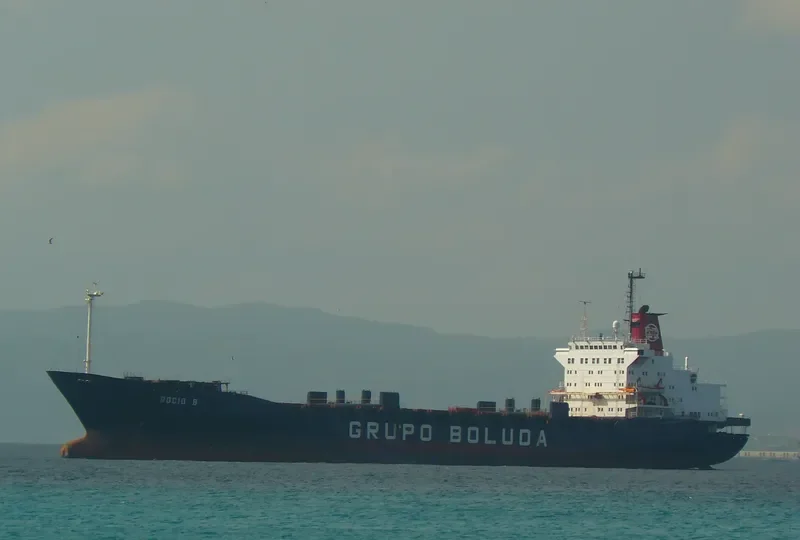 ROCIO Container Ship IMO 7822770 photo 3