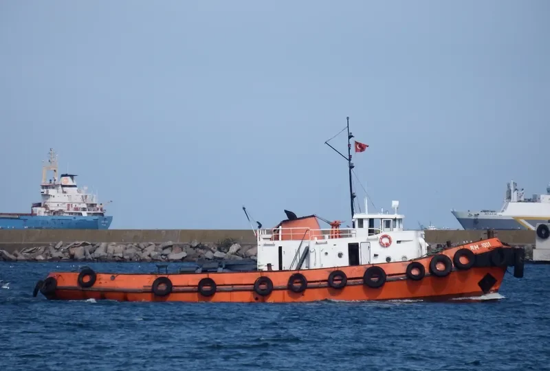 RM 1001 Tug Boat IMO 7822897 photo 5