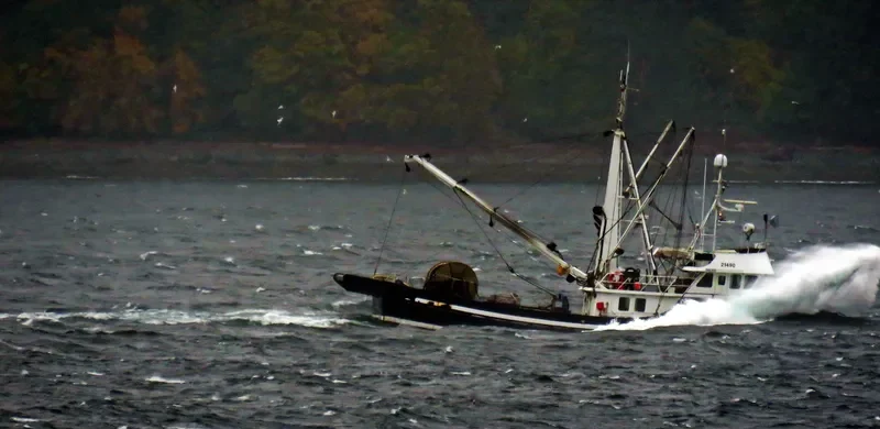 SNOW DRIFT Fishing Vessel IMO 7823023
