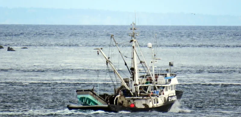 SNOW DRIFT Fishing Vessel IMO 7823023 photo 5