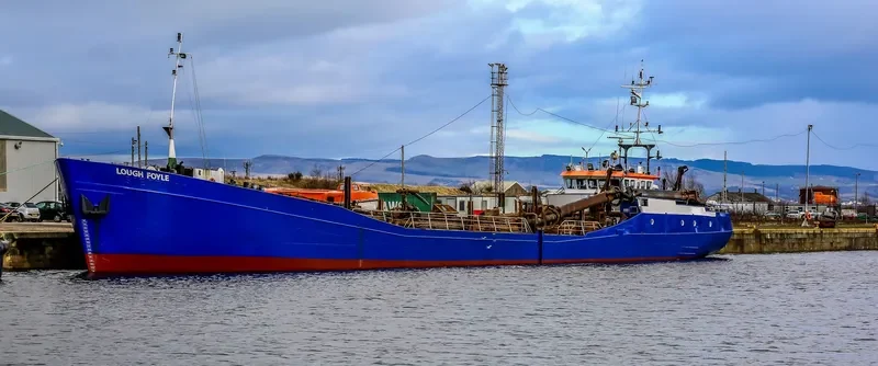 LOUGH FOYLE General Cargo IMO 7823310 photo 2