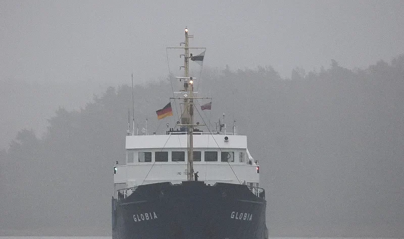 GLOBIA General Cargo IMO 7823334 photo 5