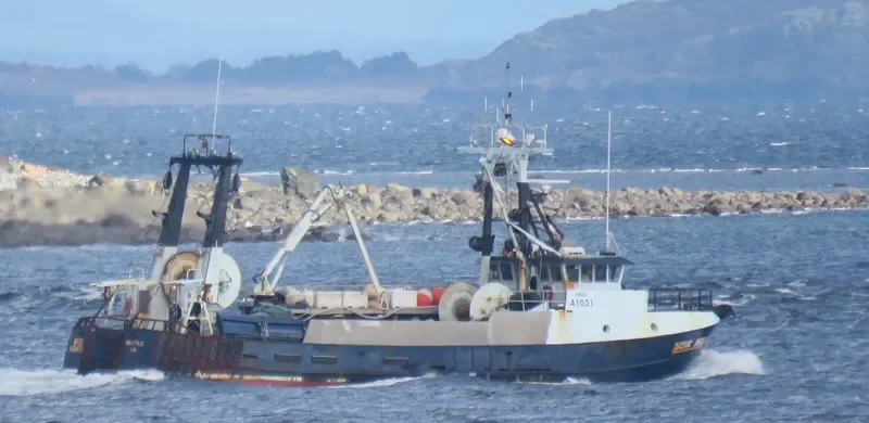 MUIR MILACH Fishing Vessel IMO 7823425