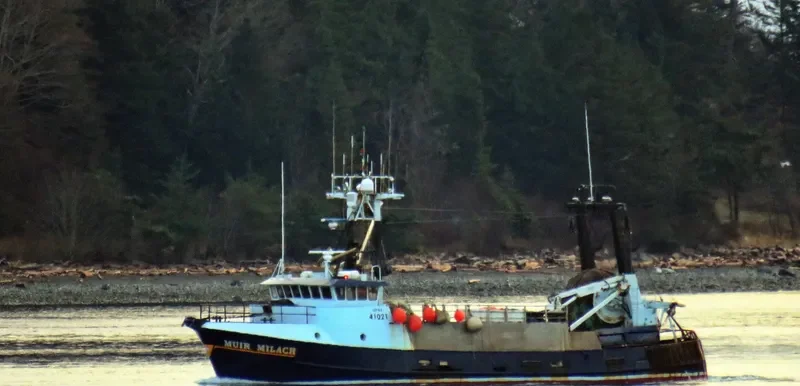 MUIR MILACH Fishing Vessel IMO 7823425 photo 9