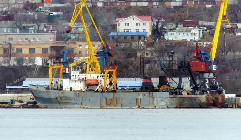 NOVOYELNYA General Cargo IMO 7824065