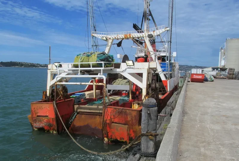 PACIFIC CHALLENGER Fishing Vessel IMO 7824132