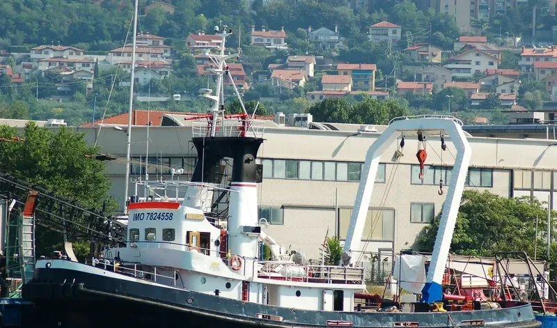 HYPSAS Tug Boat IMO 7824558 photo 7